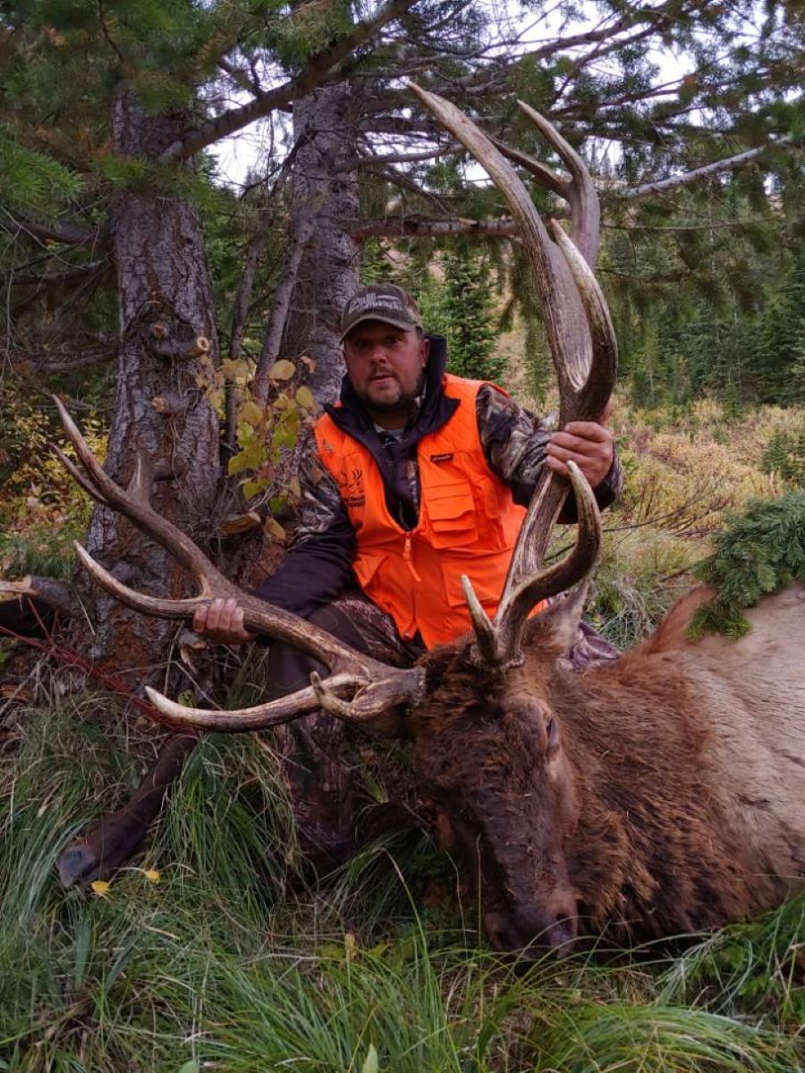 Circle 8 elk hunter with bull elk harvest montana