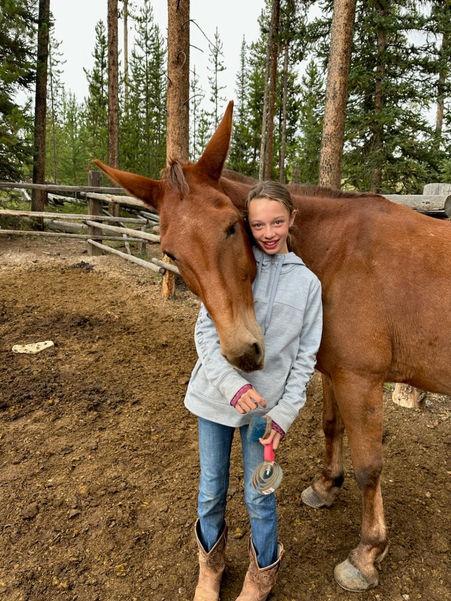Circle 8 horseback rider and horse montana