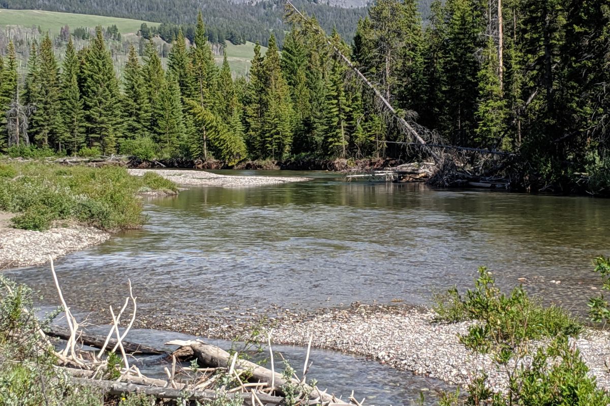 Circle 8 Montana Fly Fishing