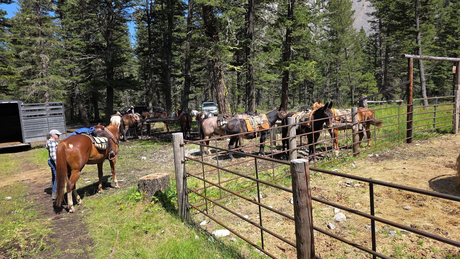 South Fork Trail Head
